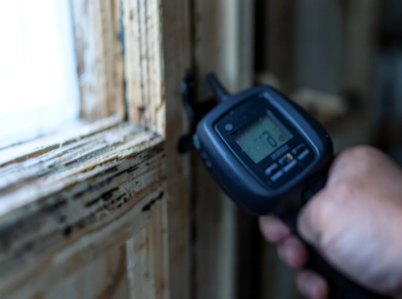 Moisture Inspection And Documentation in Aubrey, TX